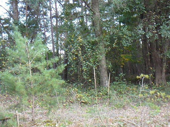 5th image of 119 Wells Cir