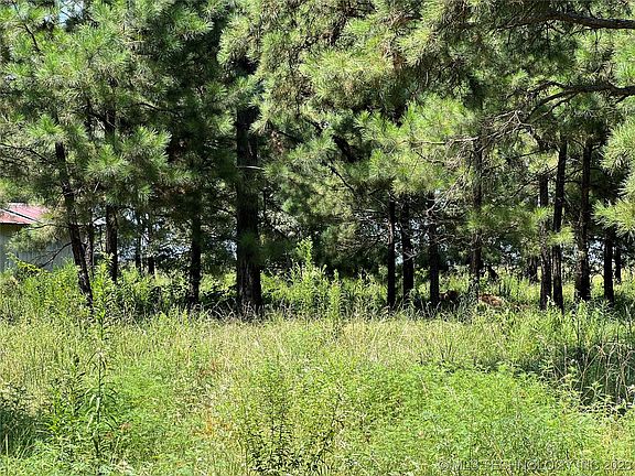 5th image of 420377 State Highway 3