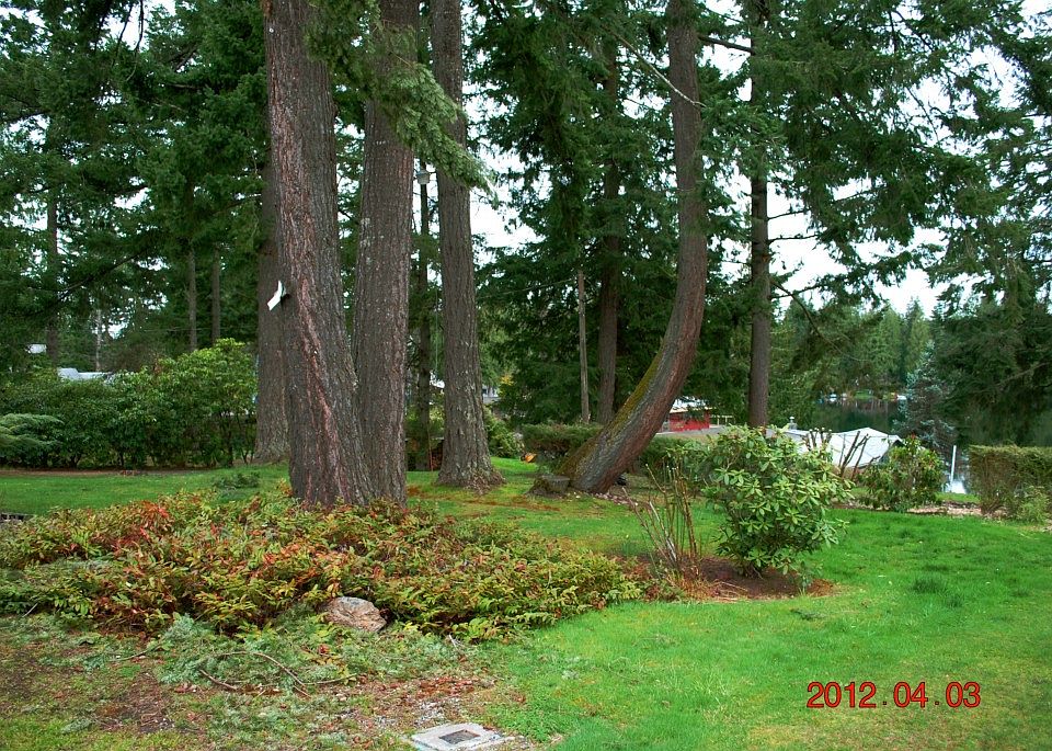2nd image of 21730 SE 262nd Pl
