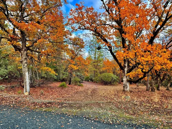 51 Oliva Dr, Hayfork, CA 96041