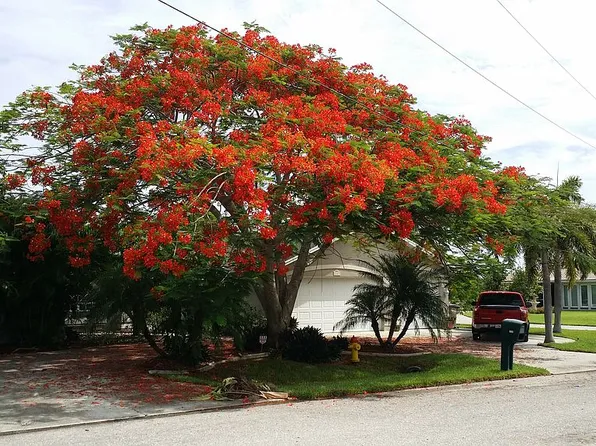 2329 SE 27th Ter, Cape Coral, FL 33904