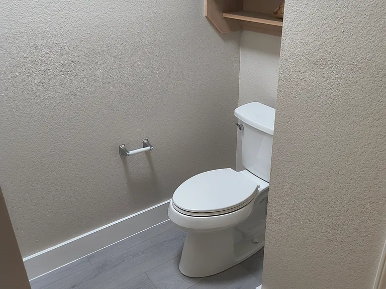 Master Bathroom Toilet