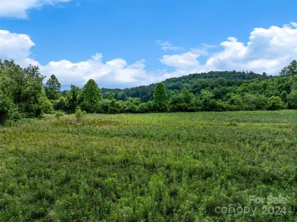 / Off Gash Rd, Horse Shoe, NC 28742