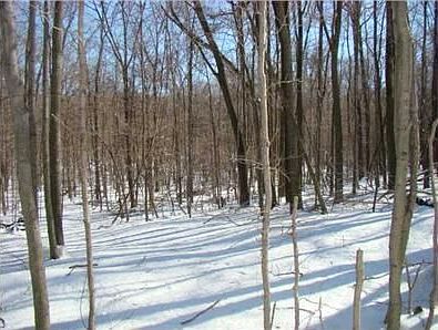 5th image of 5921 County Road 191