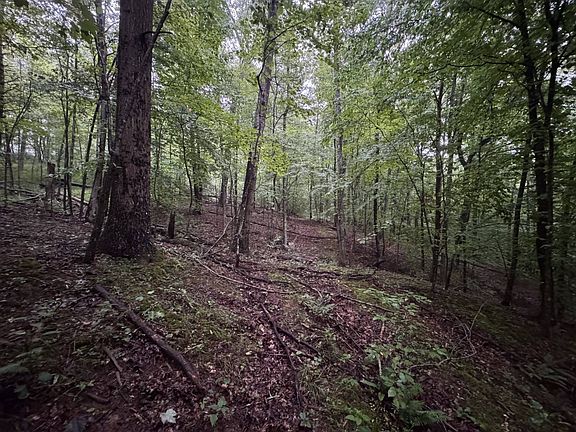 5th image of 0 Smithville Rd