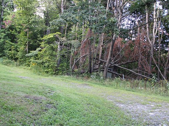 3rd image of 45 Dwight Cross Rd
