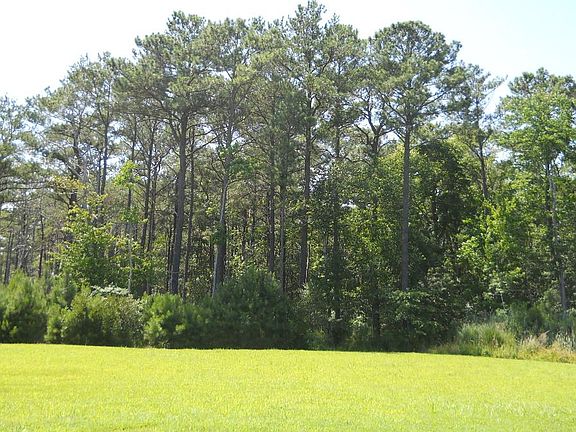 4th image of 38113 Natures Walk Way
