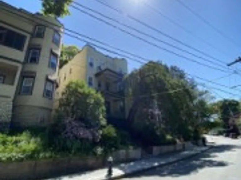 303 Tappan St #2 — Photo 15