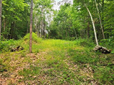 54 Fullam Pond Road, Winchester, NH, 03470