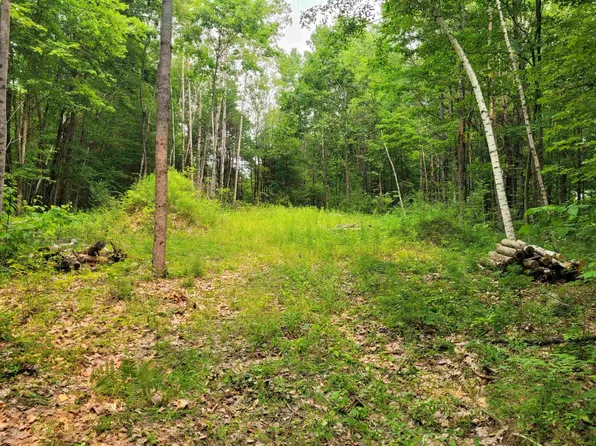 54 Fullam Pond Road, Winchester, NH 03470