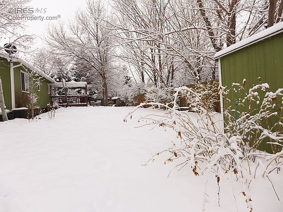 large backyard