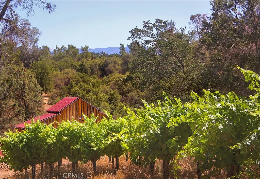 49610 House Ranch Rd photo 1