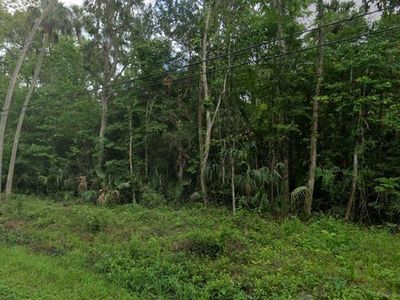 River Rd Lot 25, Astor, FL, 32102