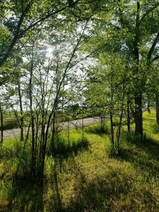 27466 Galveston Heights St, Hot Springs, SD, 57747