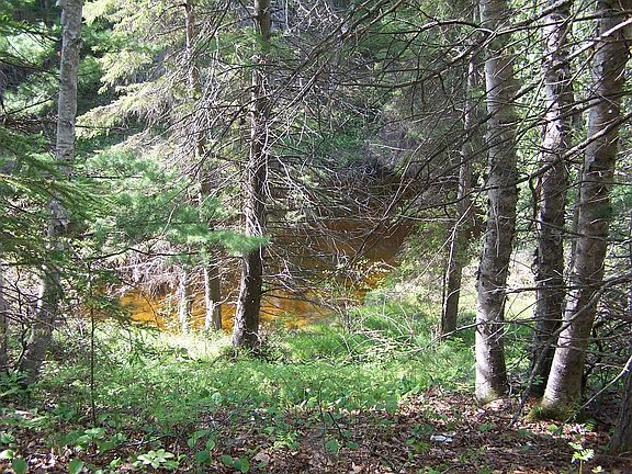5th image of N River Ln