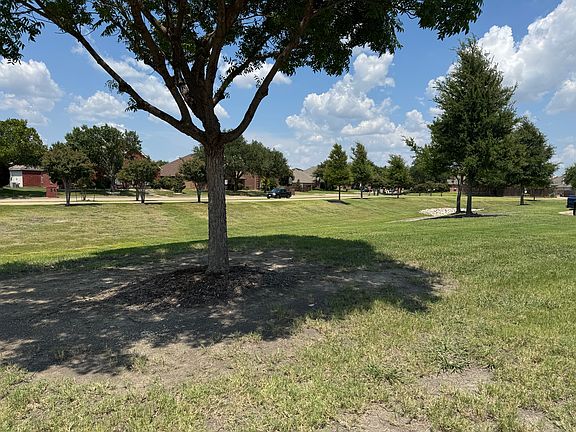 Greenbelt in front of home