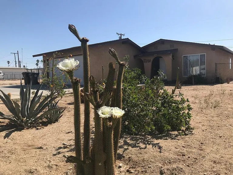 6577 Desert Queen Ave — Photo 42