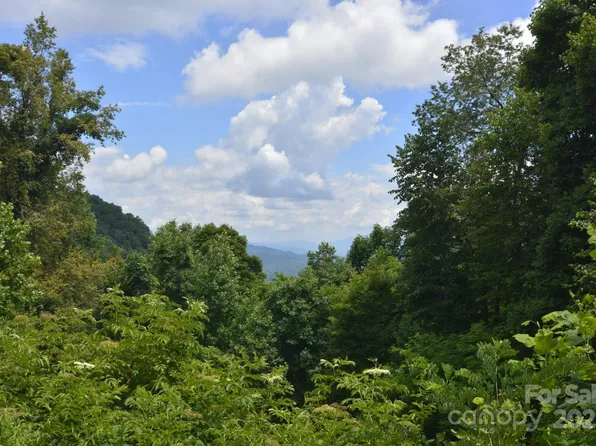 999 Red Wolf Run #48, Mars Hill, NC 28754