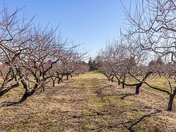 5th image of 245 Niven Rd