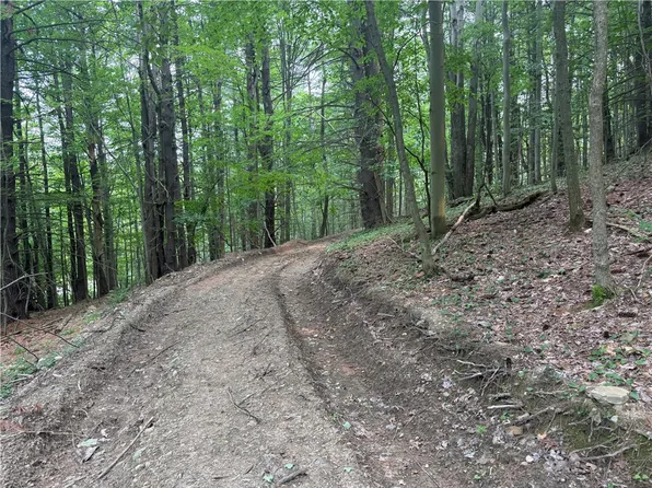 0 Ringwood Rd Lot 36, Freeville, NY 13068