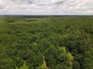 Pinconning Rd, Beaverton, MI 48612