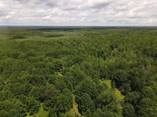 Pinconning Rd, Beaverton, MI 48612