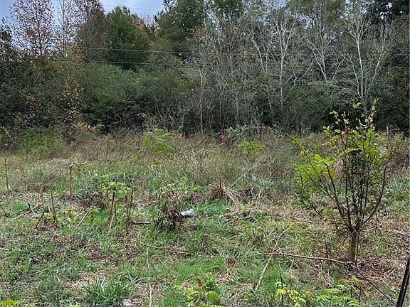 2nd image of 0 Benefield Rd