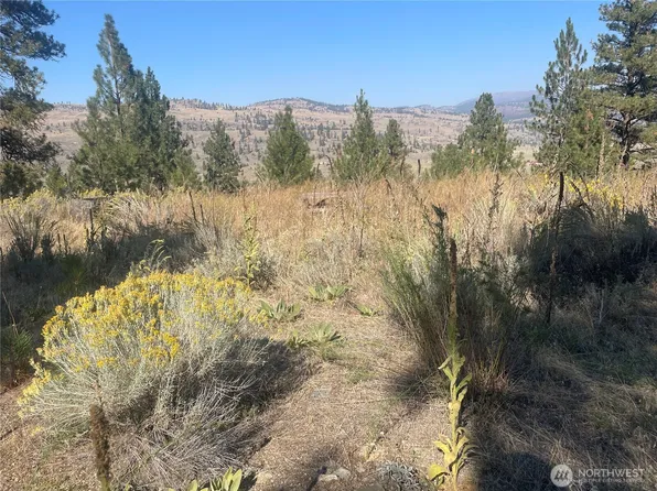 0 TBD Reevas Basin Road, Tonasket, WA 98855