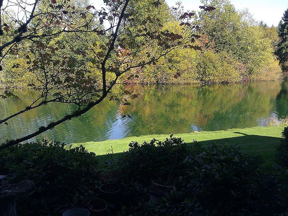 Lakefront view from deck.
