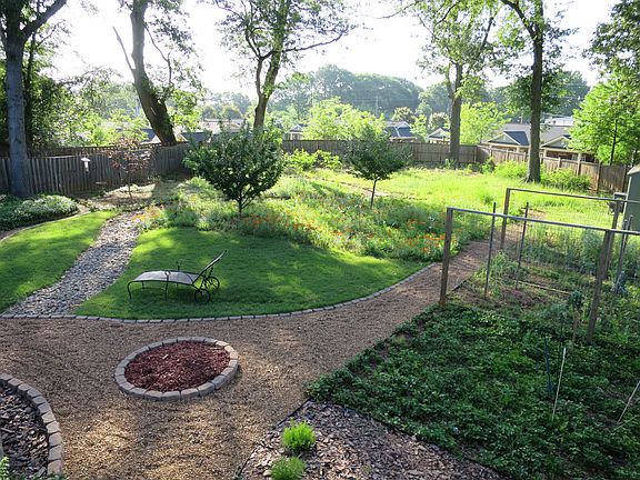 Garden, Blueberries, Fruits