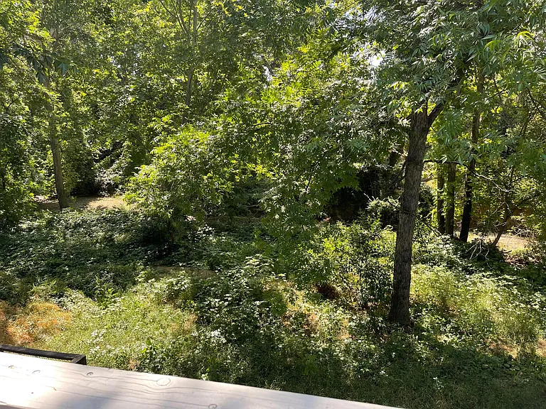 1235 Oak St — Photo 5