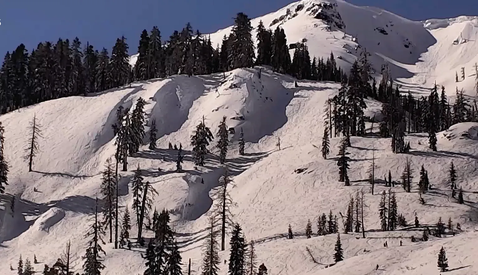 250 Sierra Crest Trl — Photo 4