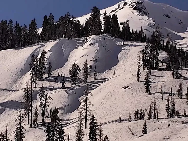 250 Sierra Crest Trl — Photo 4