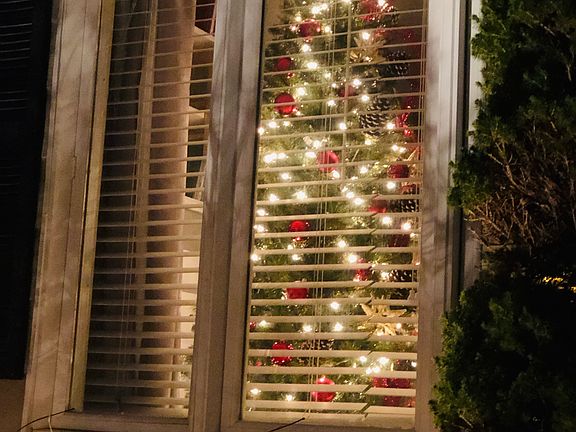 Front bay window 