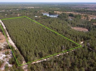 Piney Acres Trl LOT 3300, Paisley, FL 32767