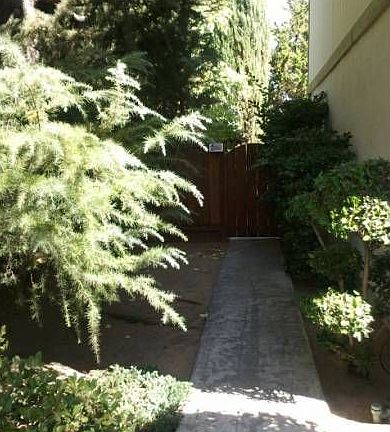 Side Yard