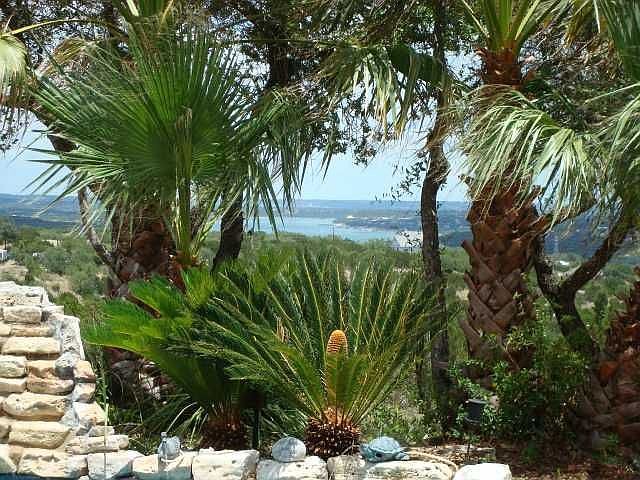 http://www.mlsfinder.com/tx_actris/kw_1/index.cfm?action=property_id=4775963