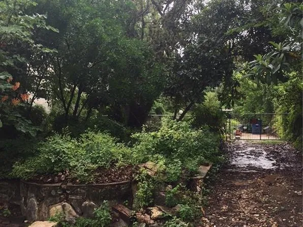 1307 Hillside Ave, Austin, TX 78704