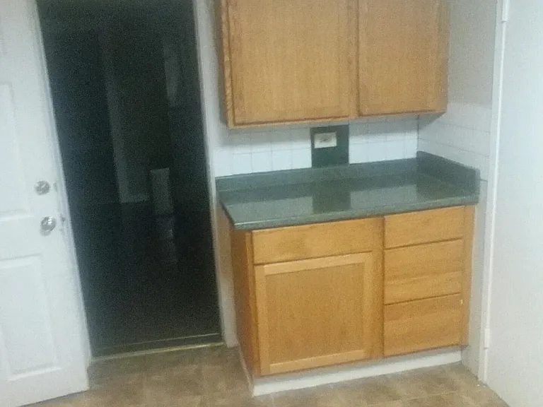 521 N Crystal St #LOWER — Photo 3