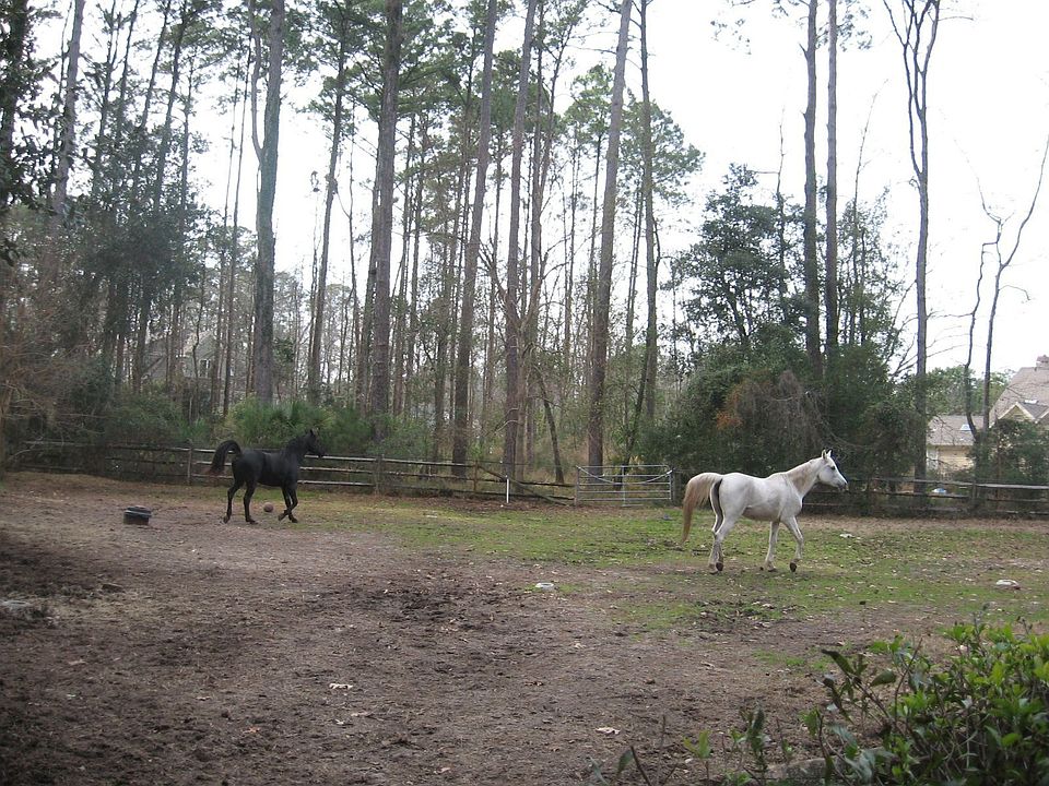 1.51 acres for your horses & dogs