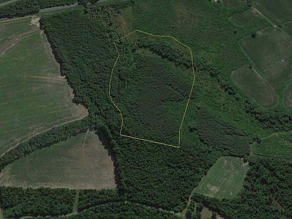 4th image of 0 Wilmington Highway