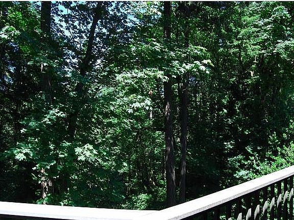 Greenspace in Back