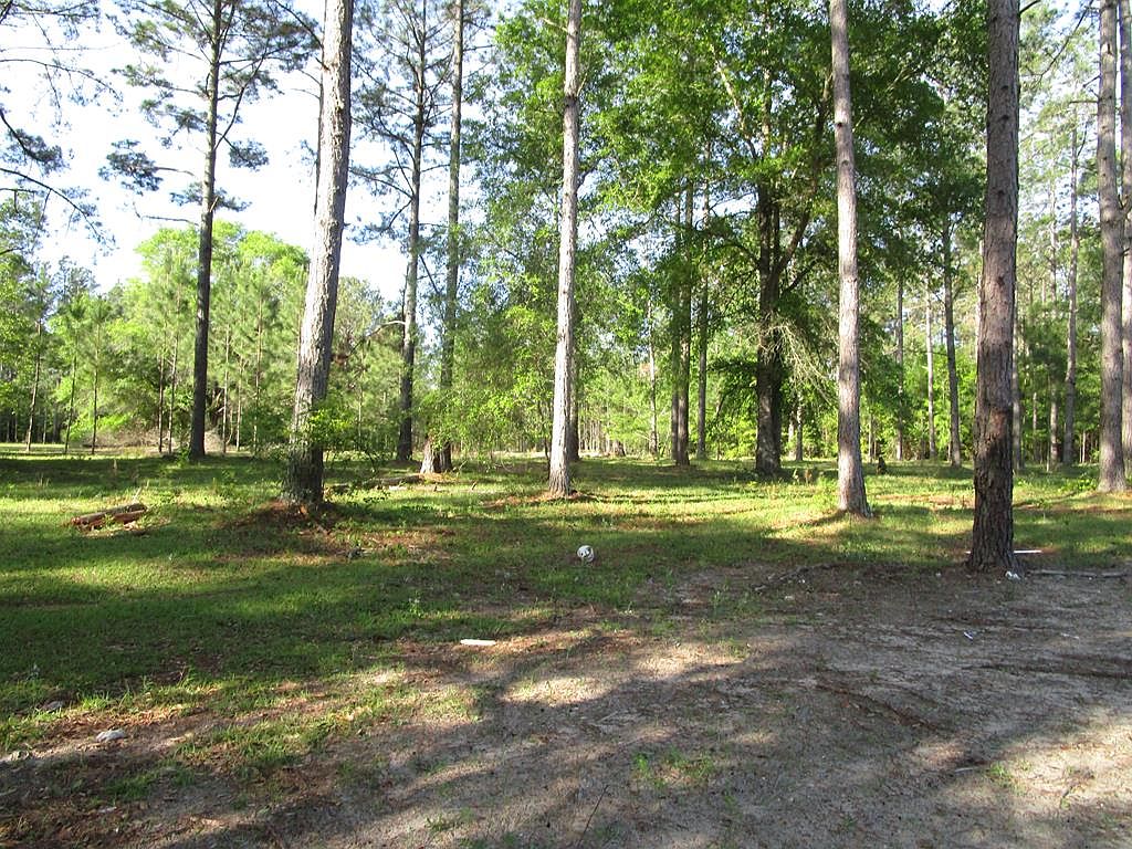 3954 Baggett Mill Rd, Cairo, GA 39827 Zillow