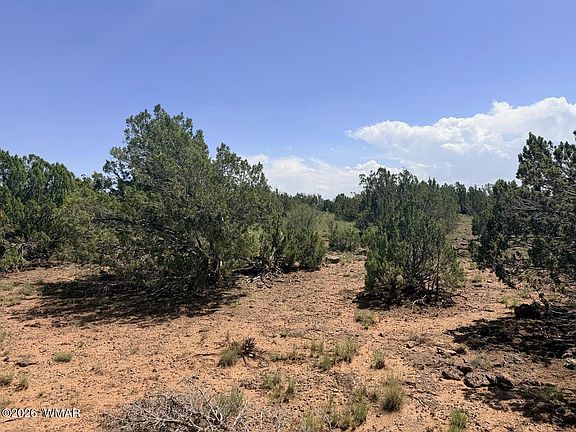 3rd image of 8831 Supancheck Rd