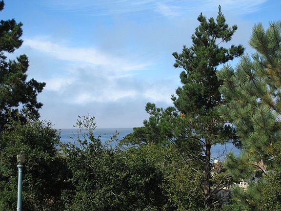 View from Living Room