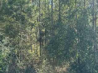 391 Jim Rish St, Wewahitchka, FL 32465