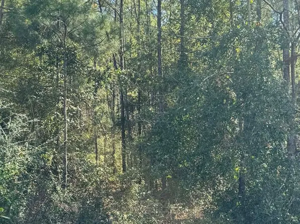 391 Jim Rish St, Wewahitchka, FL 32465