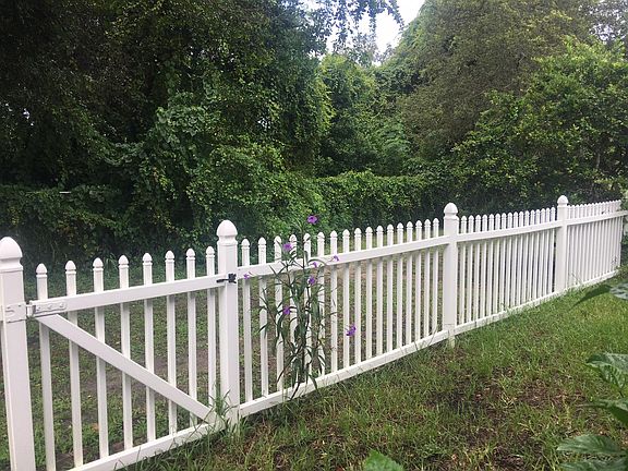 Back yard