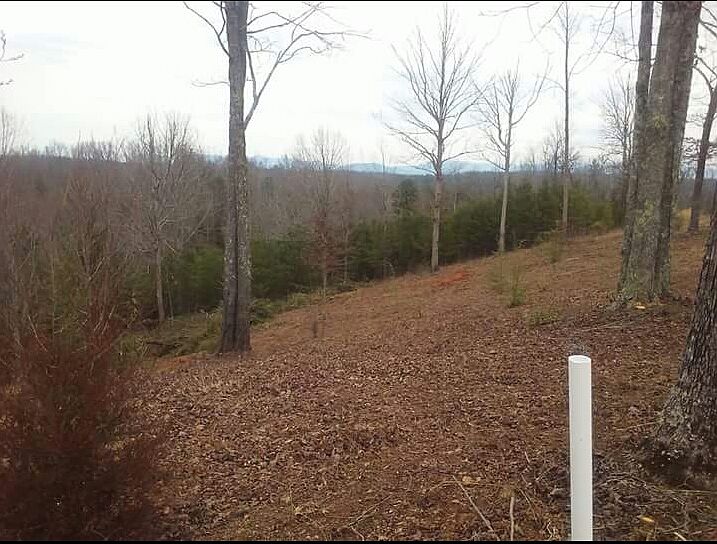 2nd image of 24 Spirit Bear Ln