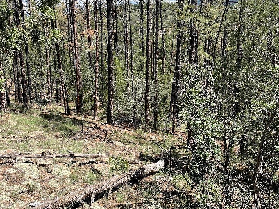 2nd image of 29 Beauregard Dr